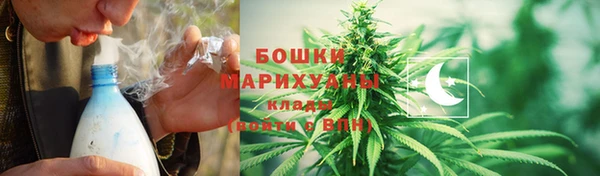 шишки Алексеевка
