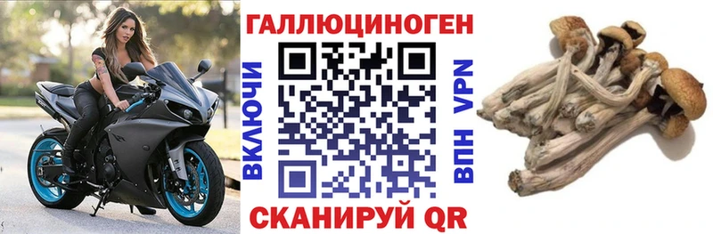 Галлюциногенные грибы прущие грибы  Красково 